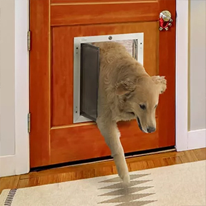 Dog hot sale flaps uk