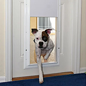 PlexiDor pet doors are quiet secure hard wearing for dogs and cats